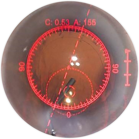 Precise Toric