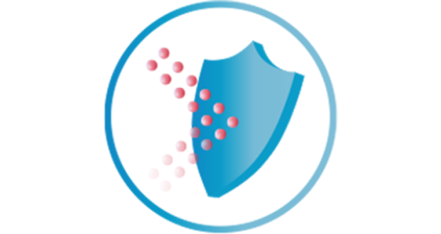icon of shield