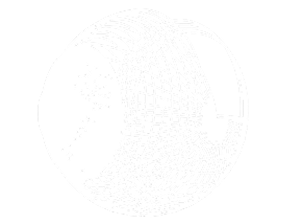 Wireframe 3D representation of an eye, used to illustrate digital eye modeling