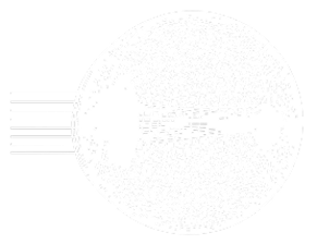 Wireframe 3D model of an eye showing parallel light rays entering the cornea and converging inside the eye.