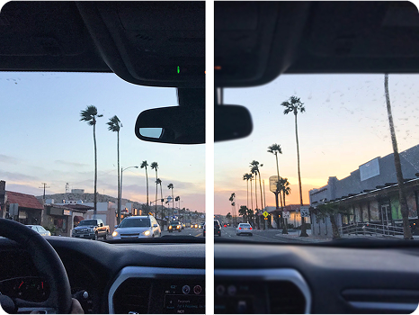 A split-view image illustrating a vision correction comparison showing a driver's perspective of a city street lined with palm trees during sunset. The left side appears slightly blurry or hazy, while the right side is clear and sharp.