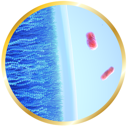Image of celligent technologie