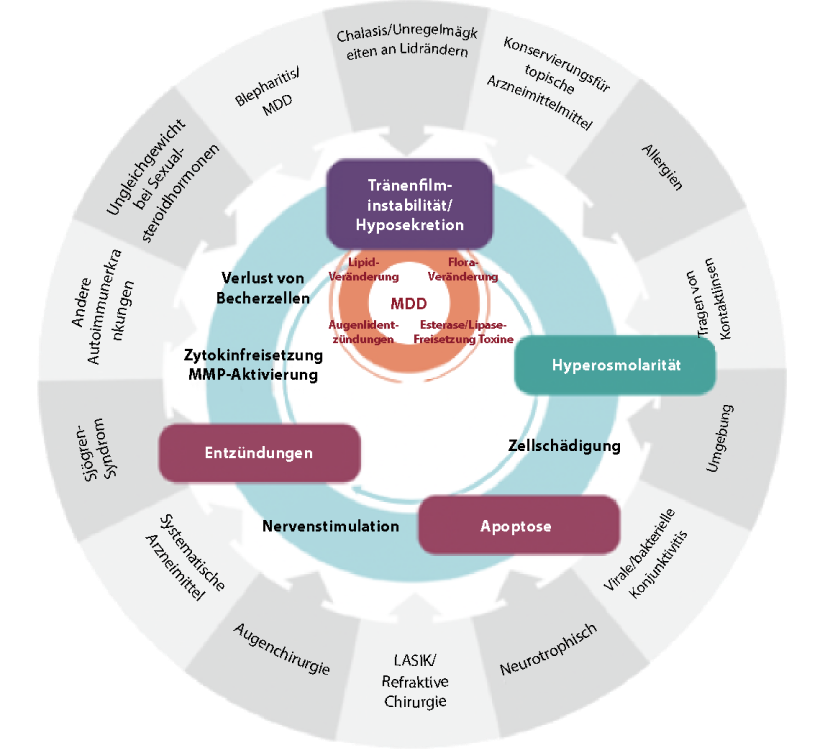 Vicious circle scheme