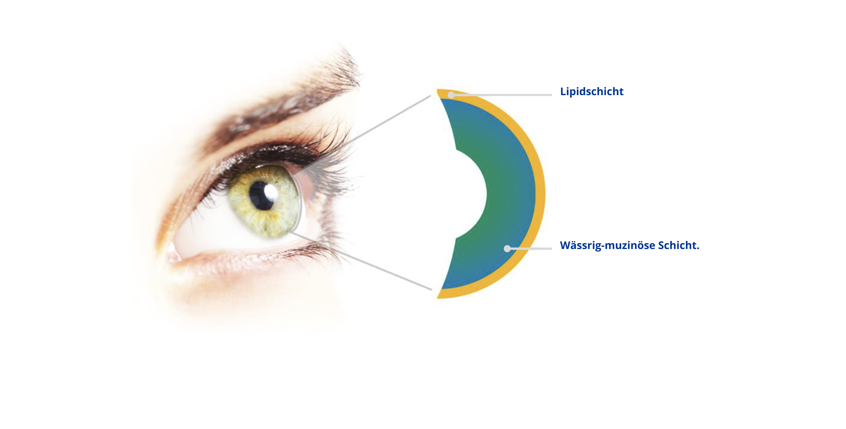 Eye graphic close up