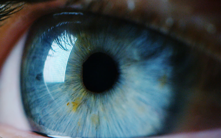 Blue eye close up