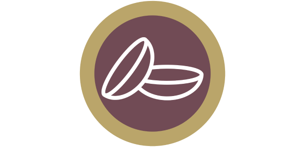 Contact lens icon